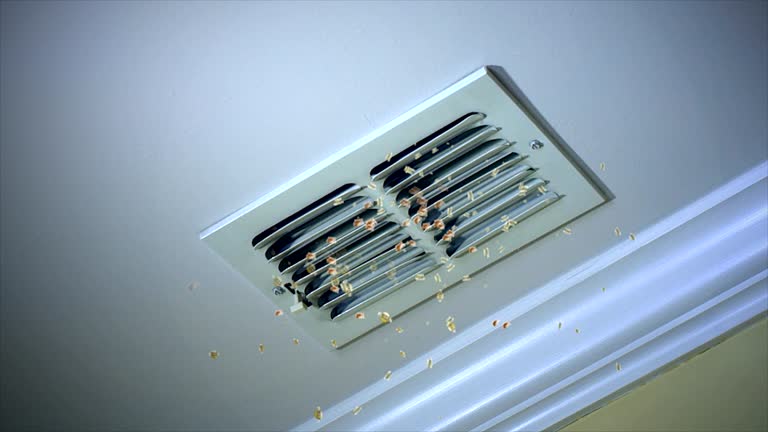 HVAC System Cleaning in NV