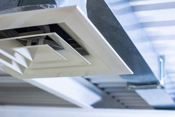 Best Air Vent Cleaning Services  in Panaca, NV