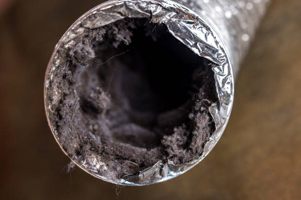 Best HVAC Air Duct Cleaning  in Panaca, NV